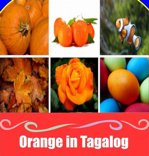 Orange tagalog prutas
